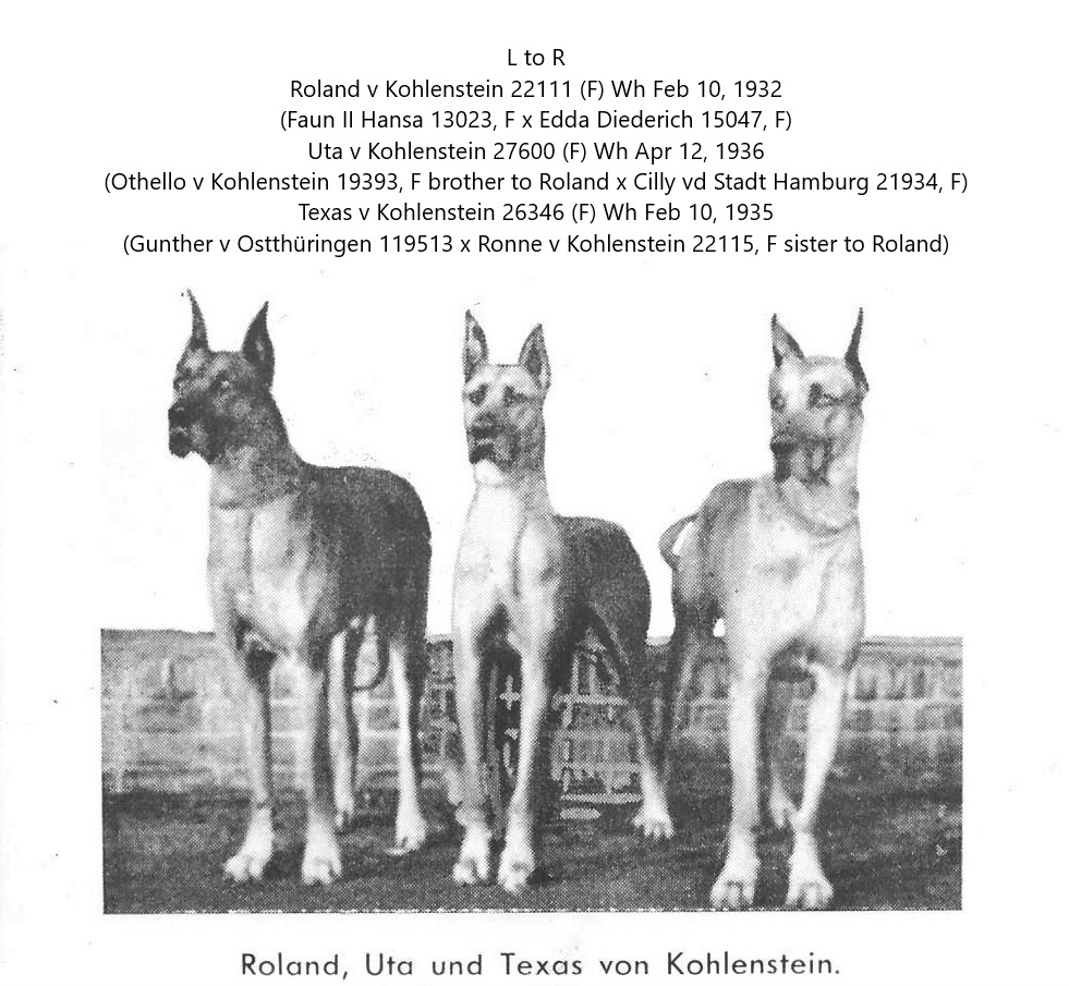 Roland, Uta and Texas von Kohlenstein